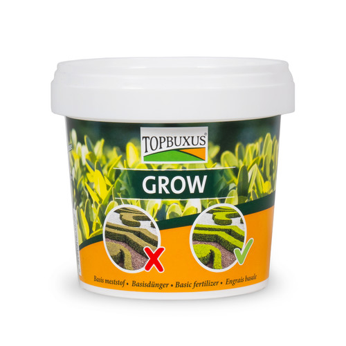 Topbuxus grow professional - -,