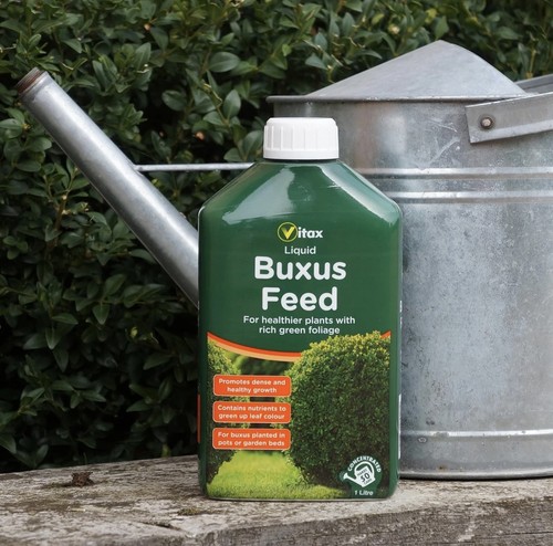 Vitax buxus liquid feed - buxus,