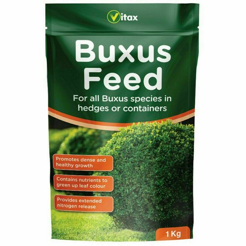 Buxus feed plant food - buxus, hedges