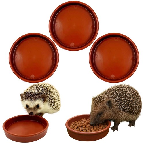 Hedgehog bowl for - for, food
