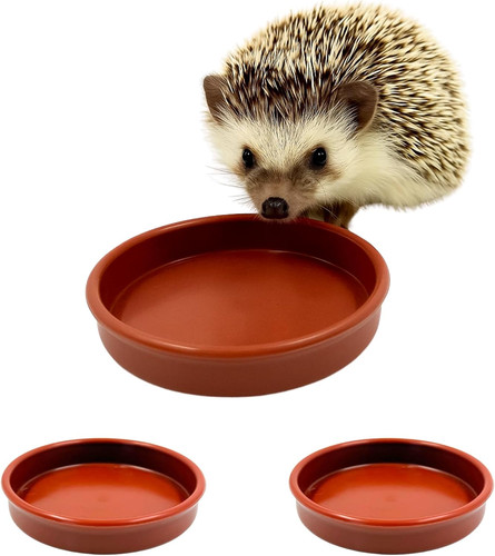 Hedgehog bowl for food - for,