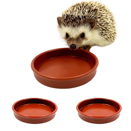 Hedgehog bowl for food and - hedgehog,