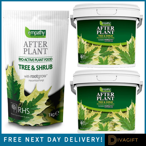 Empathy tree shrub - empathy,