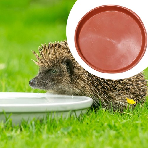 Hedgehog bowl hedge feeding - bowl,,