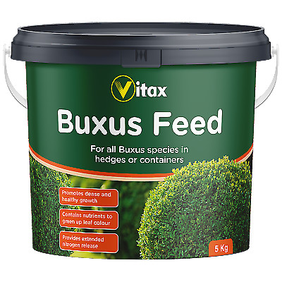Vitax buxus feed 5kg tub - feed,