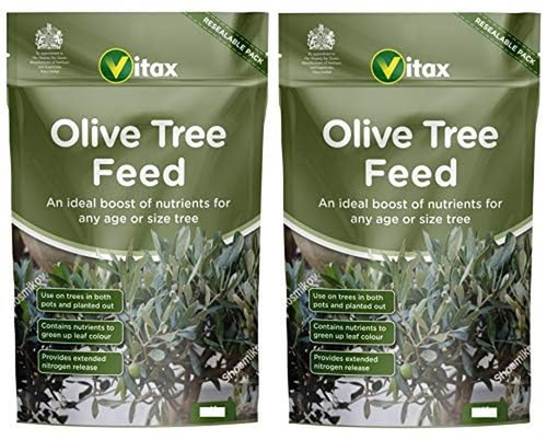 Vitax olive tree - vitax,