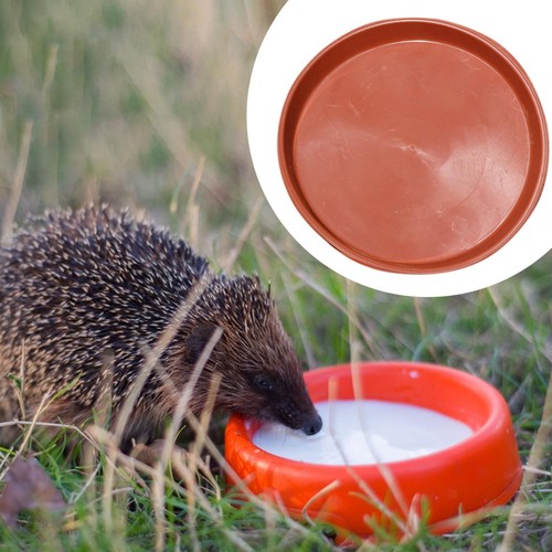 Hedgehog bowl food dish hedge - hedgehog,