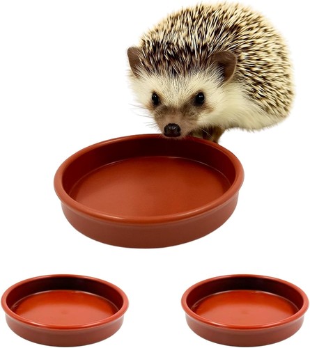 Hedgehog bowl for food - bowl,